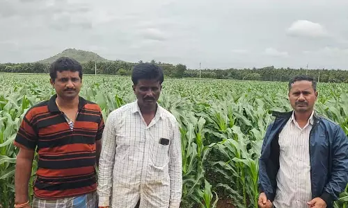 Karnataka : नैनो यूरिया का उपयोग भरपूर फसल Karnataka : नैनो यूरिया का उपयोग भरपूर फसल