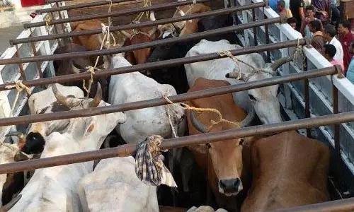 भद्रक में गौरक्षकों ने मवेशियों को ले जा रहे वाहन को जलाया