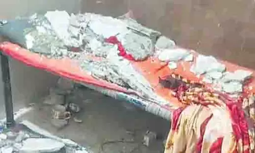 Navi Mumbai: खतरनाक इमारत का प्लास्टर गिरने से गर्भवती महिला घायल Navi Mumbai: खतरनाक इमारत का प्लास्टर गिरने से गर्भवती महिला घायल