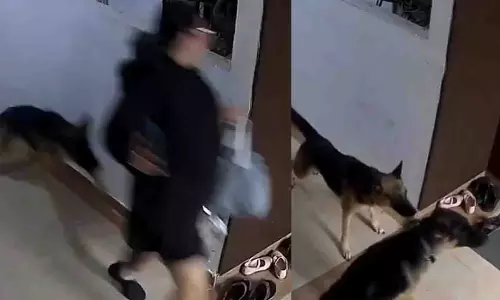 Ghaziabad: पालतू कुत्तों ने युवती पर किया हमला Ghaziabad: पालतू कुत्तों ने युवती पर किया हमला