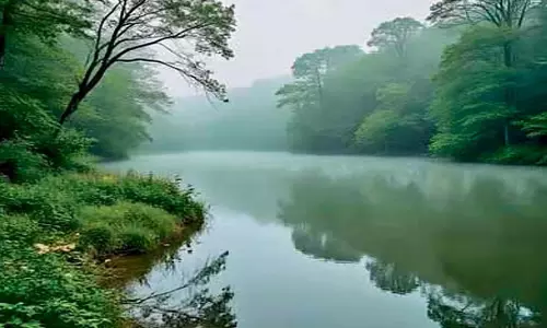 झीलों का संरक्षण कर्नाटक सरकार की प्राथमिकता: मंत्री बोसराजू झीलों का संरक्षण कर्नाटक सरकार की प्राथमिकता: मंत्री बोसराजू