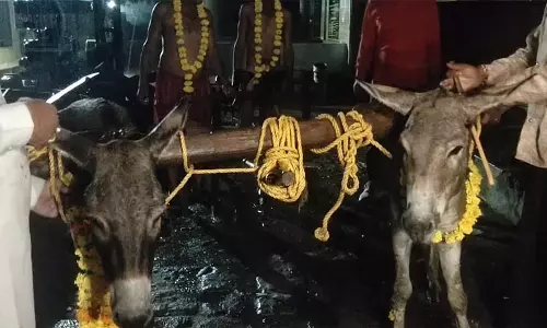 Mandsaur में सूखे से परेशान ग्रामीणों ने चितास्थली में हल चलाकर बोया नमक