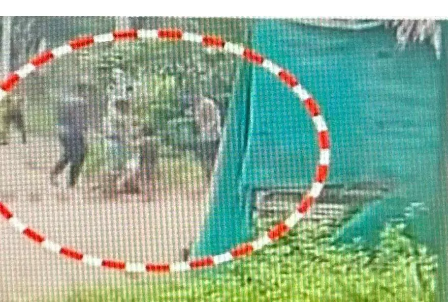 Odisha : ढेंकनाल में भतीजे ने बुजुर्ग को घसीटा और पीटा Odisha : ढेंकनाल में भतीजे ने बुजुर्ग को घसीटा और पीटा