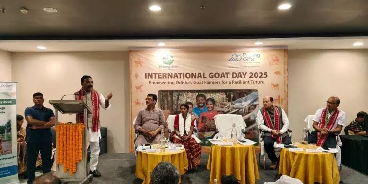 चंचला का सफर: बकरी पालक से प्रेरणा तक चंचला का सफर: बकरी पालक से प्रेरणा तक