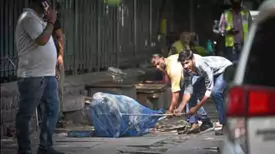 खूंखार और बीमार कुत्तों पर सख्ती, MCD ने जारी किया पकड़ने का आदेश खूंखार और बीमार कुत्तों पर सख्ती, MCD ने जारी किया पकड़ने का आदेश