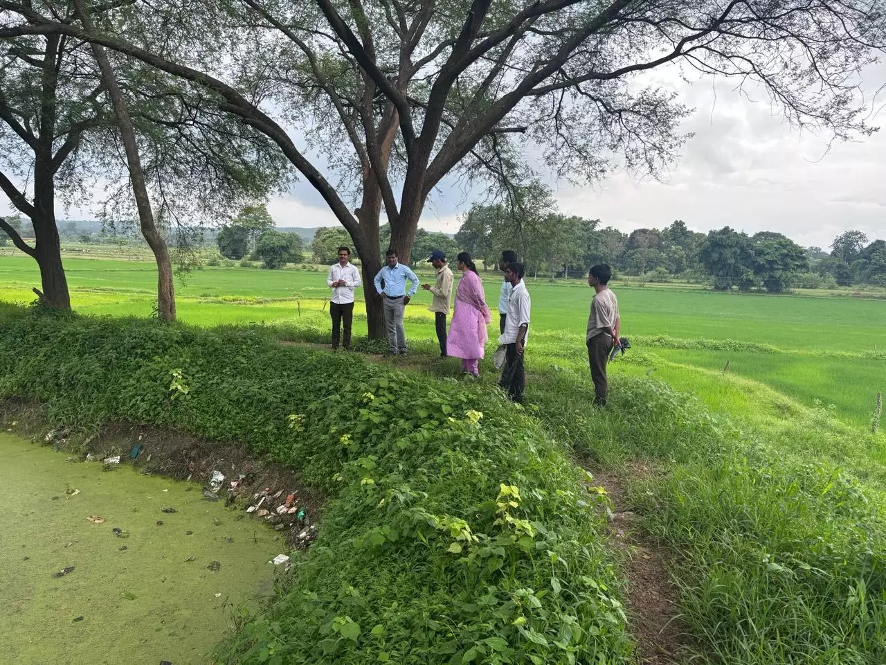 डिजिटल फसल सर्वेक्षण का कार्य गुणवत्तापूर्ण एवं कुशलतापूर्वक होना चाहिए : कलेक्टर एस जयवर्धन डिजिटल फसल सर्वेक्षण का कार्य गुणवत्तापूर्ण एवं कुशलतापूर्वक होना चाहिए : कलेक्टर एस जयवर्धन