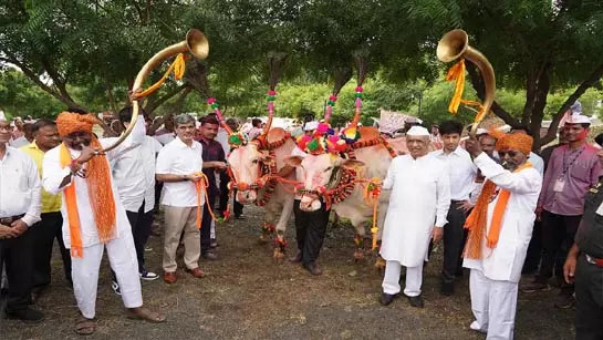 जलगांव में जैन हिल्स पर धूमधाम से मनाया गया 29वां पोला महोत्सव जलगांव में जैन हिल्स पर धूमधाम से मनाया गया 29वां पोला महोत्सव