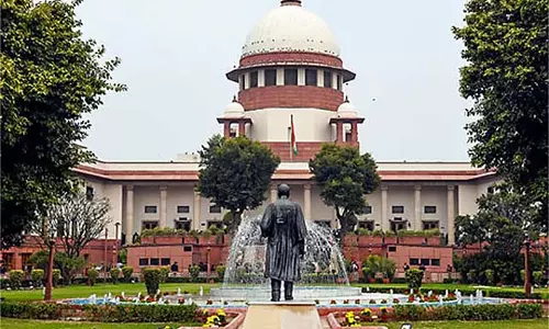 आवारा कुत्तों को आश्रय गृहों में रखने की कोई आवश्यकता नहीं: SC