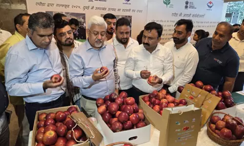 1.2 मीट्रिक टन गढ़वाली सेब की पहली खेप देहरादून से दुबई के लिए हुई रवाना : एपीडा