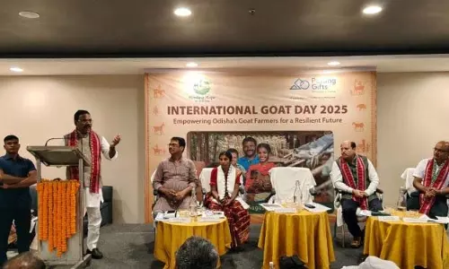 चंचला का सफर: बकरी पालक से प्रेरणा तक चंचला का सफर: बकरी पालक से प्रेरणा तक