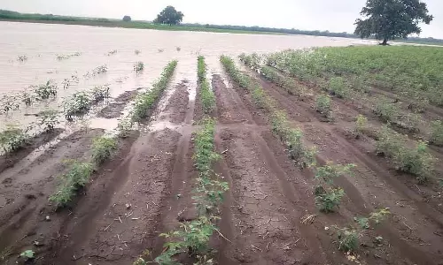 Devarahipparaagi : फसलें जलमग्न, किसान संकट में