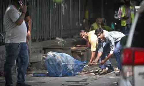 खूंखार और बीमार कुत्तों पर सख्ती, MCD ने जारी किया पकड़ने का आदेश खूंखार और बीमार कुत्तों पर सख्ती, MCD ने जारी किया पकड़ने का आदेश
