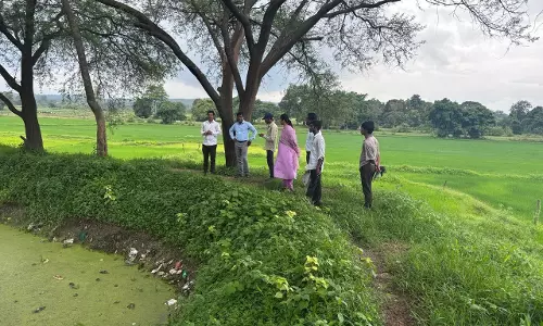 डिजिटल फसल सर्वेक्षण का कार्य गुणवत्तापूर्ण एवं कुशलतापूर्वक होना चाहिए : कलेक्टर एस जयवर्धन