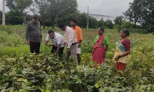 Yadgir : फसल क्षति सर्वेक्षण कार्य जोरों पर Yadgir : फसल क्षति सर्वेक्षण कार्य जोरों पर