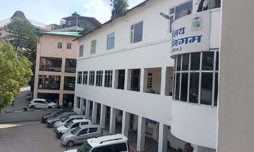 Solan में कुत्तों की नसबंदी केंद्र शुरू नहीं हो पाया Solan में कुत्तों की नसबंदी केंद्र शुरू नहीं हो पाया