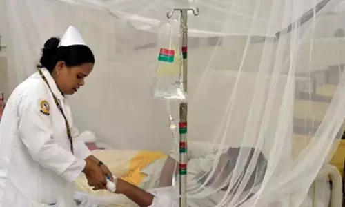Bangladesh में डेंगू से एक दिन में सबसे ज़्यादा पाँच मौतें दर्ज Bangladesh में डेंगू से एक दिन में सबसे ज़्यादा पाँच मौतें दर्ज