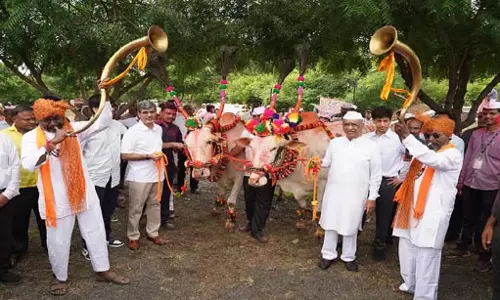 जलगांव में जैन हिल्स पर धूमधाम से मनाया गया 29वां पोला महोत्सव