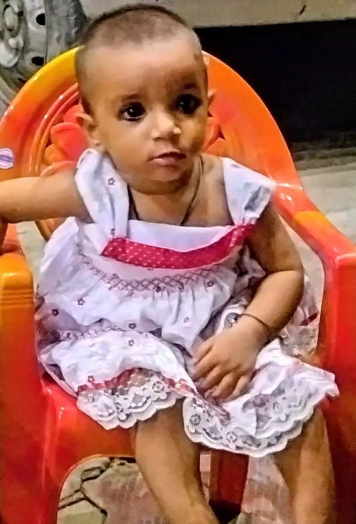 Abohar: एक साल की बच्ची बाइक से गिरी, आवारा जानवरों ने कुचला Abohar: एक साल की बच्ची बाइक से गिरी, आवारा जानवरों ने कुचला