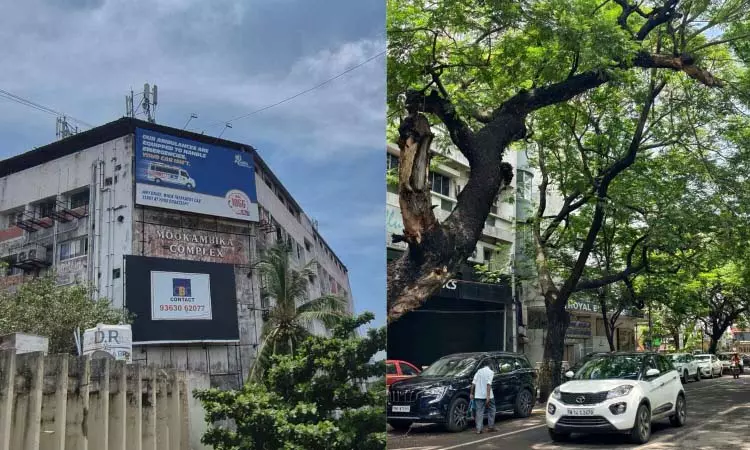 Alwarpet, एक शांत विरासत वाला इलाका Alwarpet, एक शांत विरासत वाला इलाका