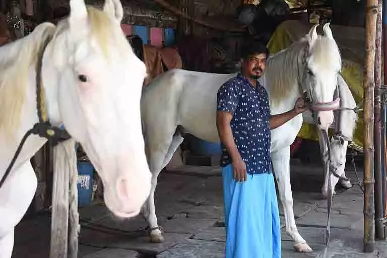 Chennai: घटती घोड़ा स्टैंड संस्कृति, परंपरा के लुप्त होने का खतरा Chennai: घटती घोड़ा स्टैंड संस्कृति, परंपरा के लुप्त होने का खतरा