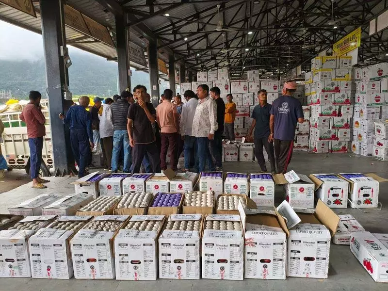 Himachal: सेब सीजन में तेजी से कारोबार, सोलन में 11 लाख पेटियां बिकीं Himachal: सेब सीजन में तेजी से कारोबार, सोलन में 11 लाख पेटियां बिकीं