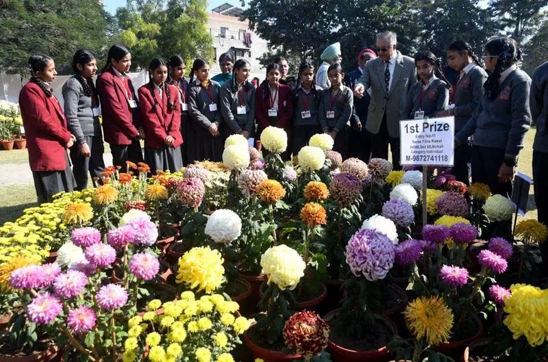 Chandigarh में गुलदाउदी शो के प्रस्ताव को वित्त पैनल की मंजूरी मिली Chandigarh में गुलदाउदी शो के प्रस्ताव को वित्त पैनल की मंजूरी मिली