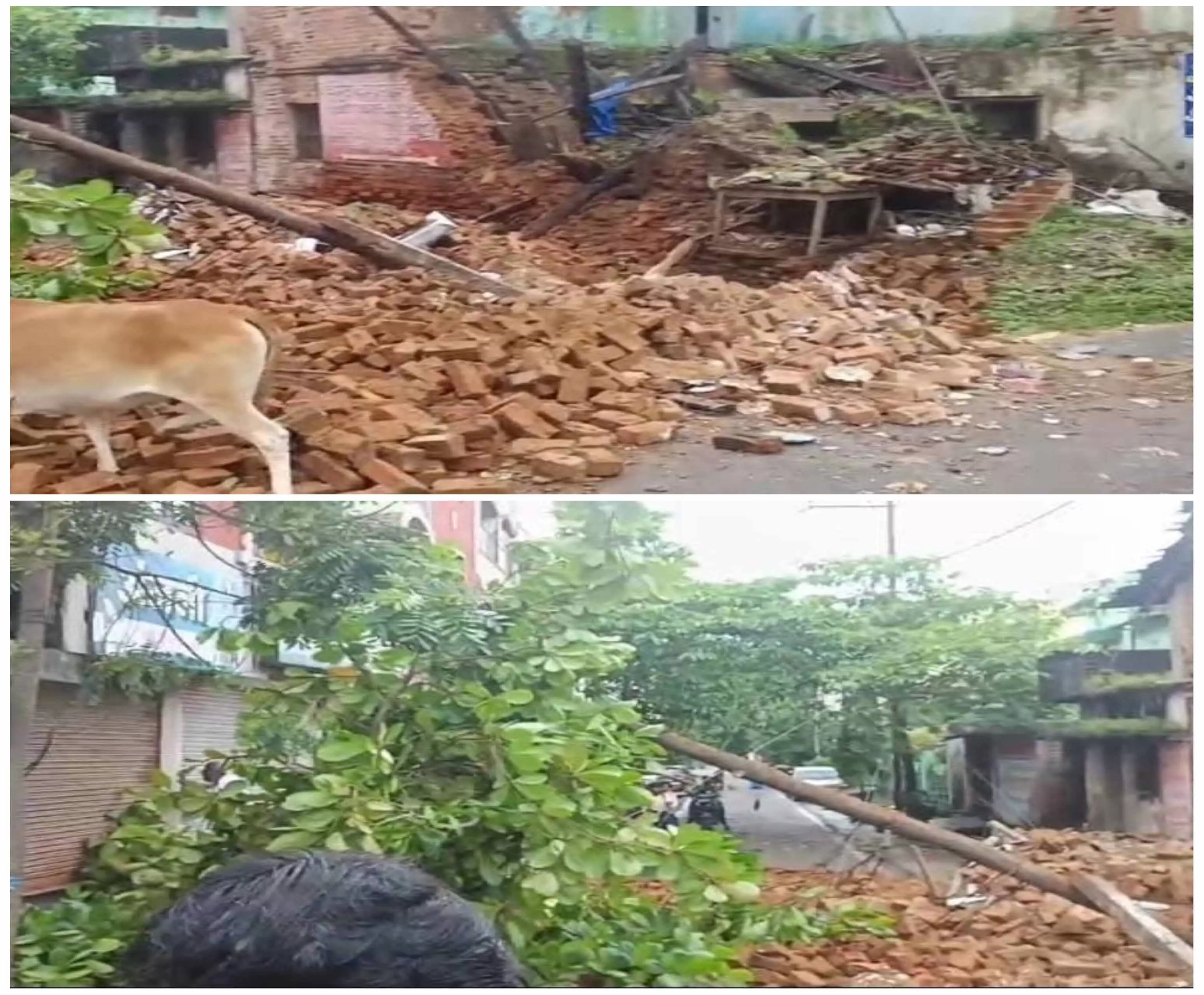 CG: जर्जर मकान ढहने से बड़ा हादसा टला, मलबे में दबकर कार क्षतिग्रस्त CG: जर्जर मकान ढहने से बड़ा हादसा टला, मलबे में दबकर कार क्षतिग्रस्त