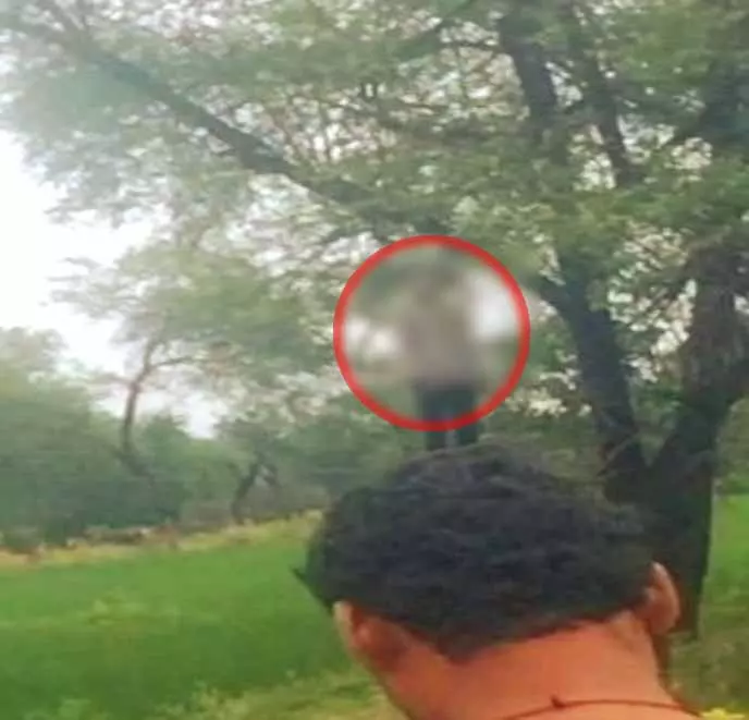 खेत में पेड़ से लटका मिला युवक का शव, इलाके में सनसनी खेत में पेड़ से लटका मिला युवक का शव, इलाके में सनसनी