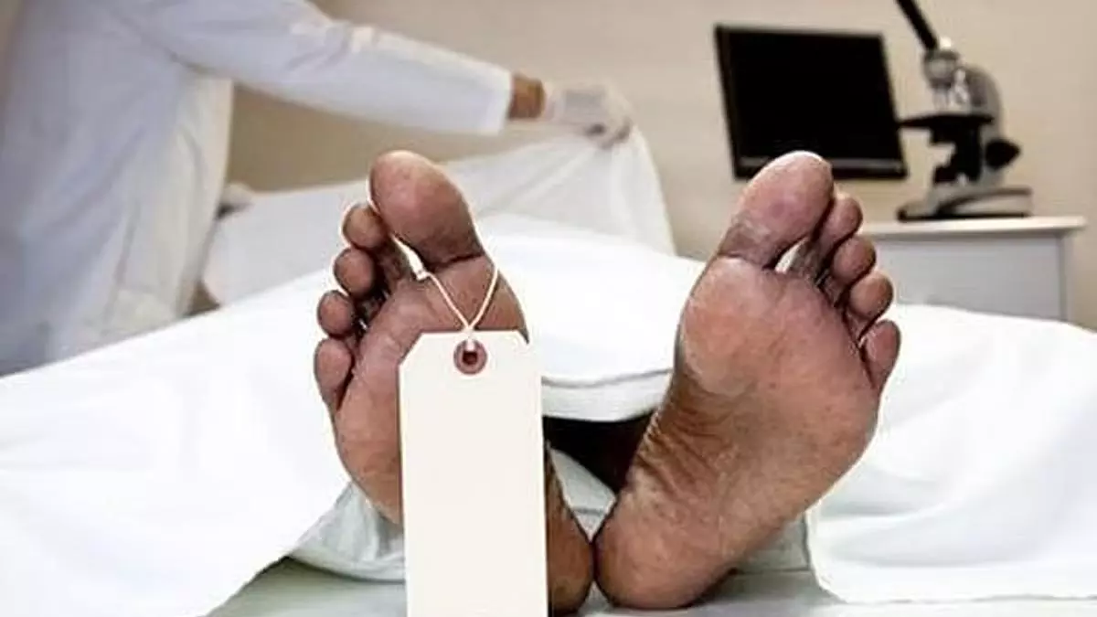 सड़क हादसे में युवक की मौत, हिट-एंड-रन मामला दर्ज सड़क हादसे में युवक की मौत, हिट-एंड-रन मामला दर्ज