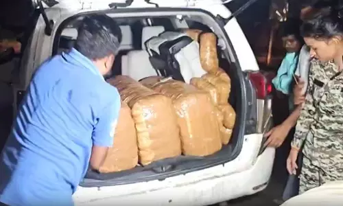 इनोवा कार से 30 लाख का गांजा जब्त, युवती और दो युवक गिरफ्तार इनोवा कार से 30 लाख का गांजा जब्त, युवती और दो युवक गिरफ्तार
