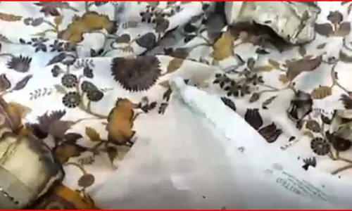 रेड से हड़कंप! जला डाले लाखों रुपये, सरकारी इंजीनियर की काली कमाई का पता चला