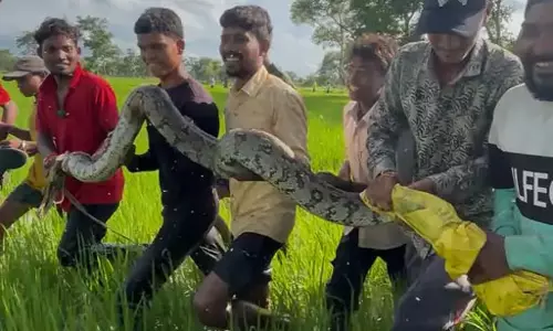 किसान से लिपटा अजगर, ग्रामीणों ने कड़ी मशक्कत कर बचाई जान