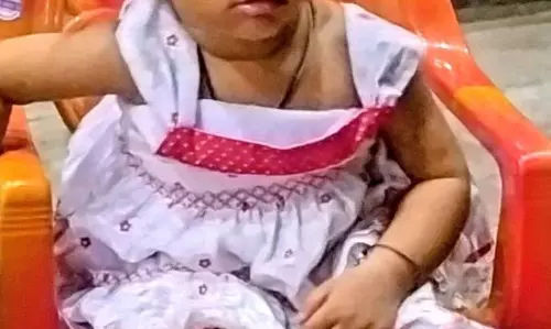 Abohar: एक साल की बच्ची बाइक से गिरी, आवारा जानवरों ने कुचला
