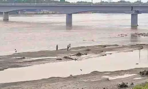 दिल्ली सरकार ने NGT को बताया यमुना के द्वीपों पर अवैध रेत खनन दिल्ली सरकार ने NGT को बताया यमुना के द्वीपों पर अवैध रेत खनन