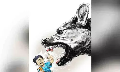 Tamil Nadu: आवारा कुत्ते ने दूसरी कक्षा की बच्ची को नोच डाला