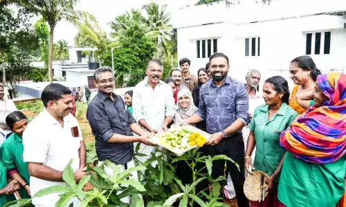 Kerala : कलेक्टर के आवास पर ओणम की फसल