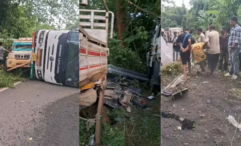 Assam: दीमा हसाओ में एनएच-29 पर सड़क दुर्घटना में दो की मौत, चार घायल