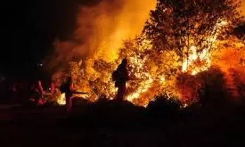 स्पेन की जंगल की आग ने यूरोप में जलवायु संकट का खतरा बढ़ाया