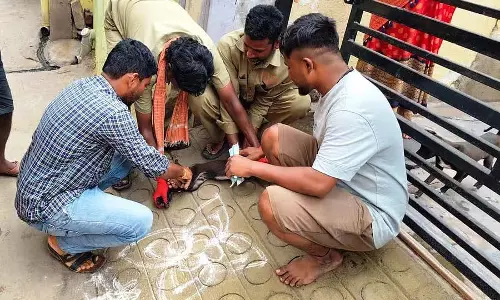 कुदाथिनी में आवारा कुत्तों के बढ़ते हमले: लोगों ने कार्रवाई की मांग की