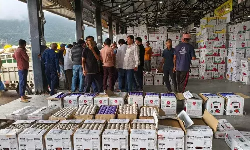 Himachal: सेब सीजन में तेजी से कारोबार, सोलन में 11 लाख पेटियां बिकीं Himachal: सेब सीजन में तेजी से कारोबार, सोलन में 11 लाख पेटियां बिकीं