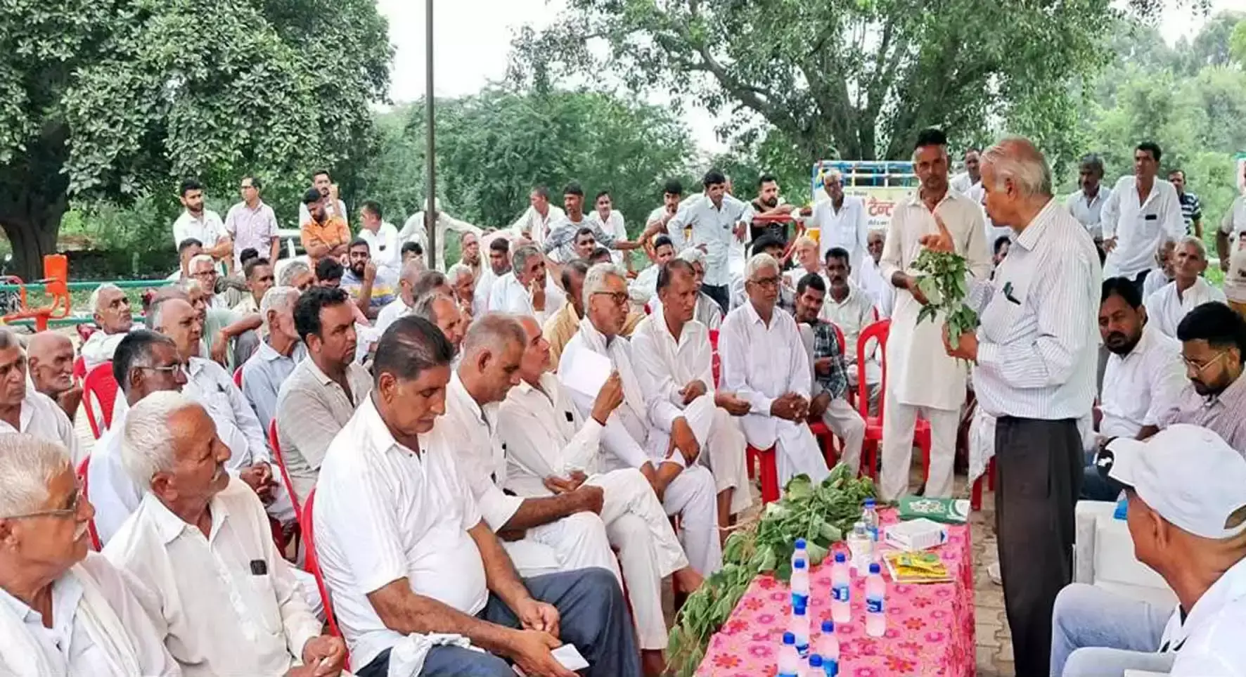 Hisar: जीवाणु अंगमारी से ग्वार फसल को हो रहा भारी नुकसान: डॉ. बीडी यादव Hisar: जीवाणु अंगमारी से ग्वार फसल को हो रहा भारी नुकसान: डॉ. बीडी यादव