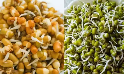 उबले हुए बनाम कच्चे अंकुरित अनाज: इस मानसून में आपको क्या चुनना चाहिए? उबले हुए बनाम कच्चे अंकुरित अनाज: इस मानसून में आपको क्या चुनना चाहिए?