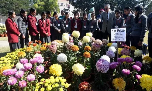Chandigarh में गुलदाउदी शो के प्रस्ताव को वित्त पैनल की मंजूरी मिली