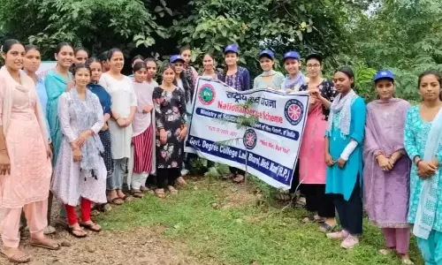 Mandi: एक दिवसीय वृक्षारोपण अभियान में 50 स्वयंसेवकों ने लिया भाग