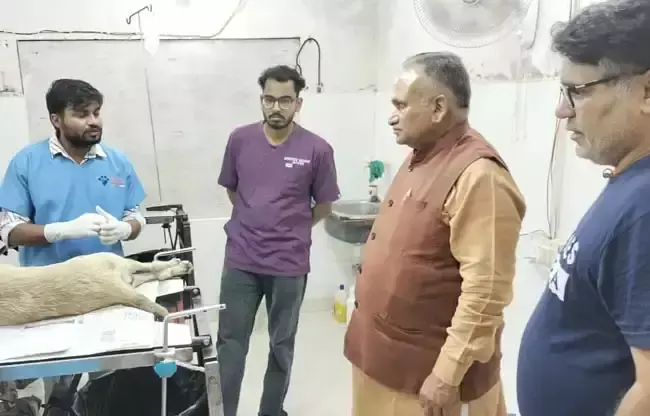 Sonipat: सुप्रीम कोर्ट के आदेश से सोनीपत में कुत्तों के कल्याण पर जोर