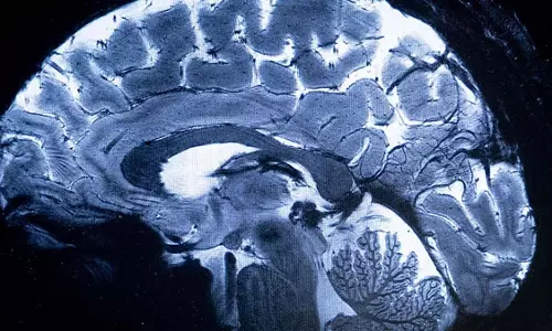 amoebic संक्रमण का छठा मामला सामने आया; मलप्पुरम का व्यक्ति संक्रमित amoebic संक्रमण का छठा मामला सामने आया; मलप्पुरम का व्यक्ति संक्रमित
