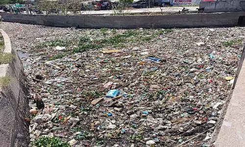 Thoothukudi  निगम प्लास्टिक पर सूचना बोर्ड लगाएगा