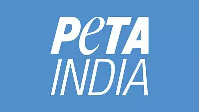 कबूतरों को दाना खिलाना मानवीय है: कबूतरखाना विवाद पर PETA इंडिया ने फडणवीस को लिखा पत्र कबूतरों को दाना खिलाना मानवीय है: कबूतरखाना विवाद पर PETA इंडिया ने फडणवीस को लिखा पत्र