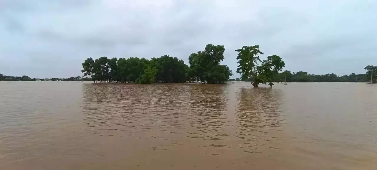Odisha: भारी बारिश से सुवर्णरेखा नदी में बाढ़ की स्थिति, बालासोर में अलर्ट Odisha: भारी बारिश से सुवर्णरेखा नदी में बाढ़ की स्थिति, बालासोर में अलर्ट
