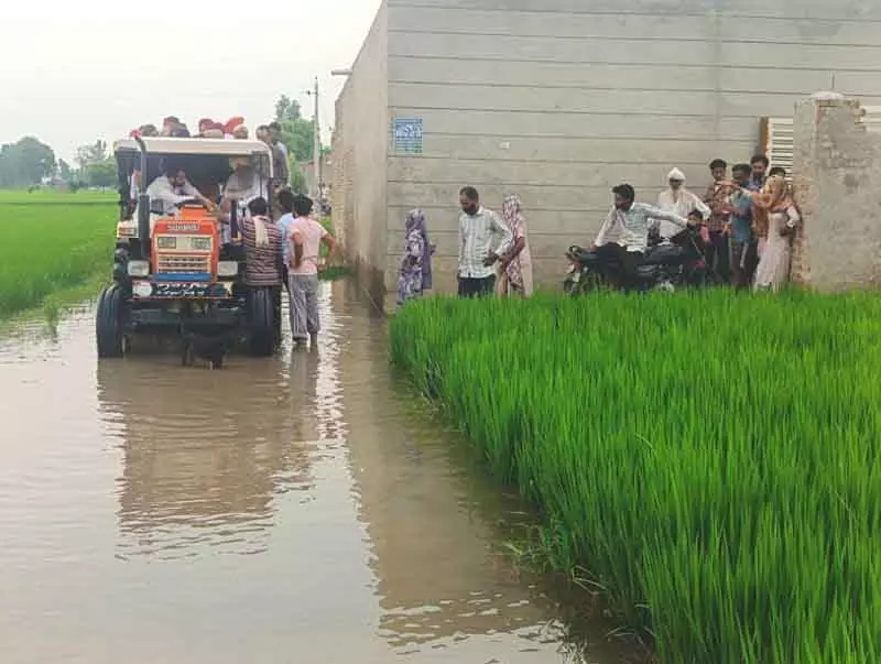 बाढ़ प्रभावित गांवों में विशेष गिरदावरी में तेजी लाएं: Agriculture Minister बाढ़ प्रभावित गांवों में विशेष गिरदावरी में तेजी लाएं: Agriculture Minister